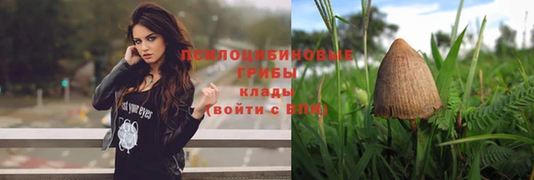MESCALINE Вяземский