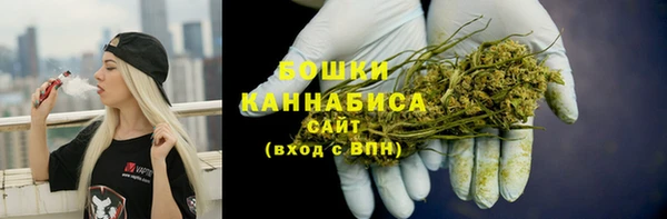 ГАЛЛЮЦИНОГЕННЫЕ ГРИБЫ Вязники