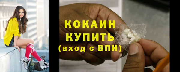 ГАЛЛЮЦИНОГЕННЫЕ ГРИБЫ Вязники
