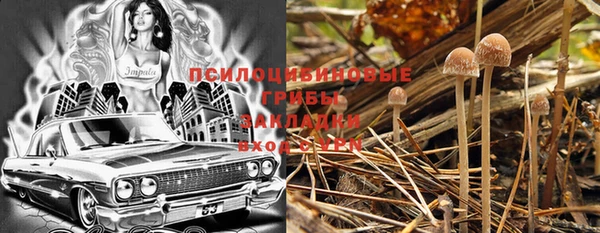 MESCALINE Вяземский